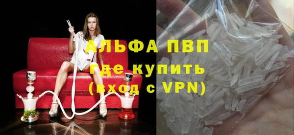 СК Волоколамск