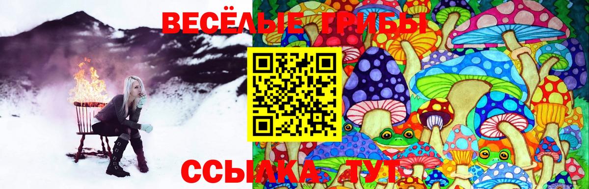 Псилоцибиновые грибы Cubensis  купить   Вход с VPN  Георгиевск  Галлюциногенные грибы Psilocybine cubensis 